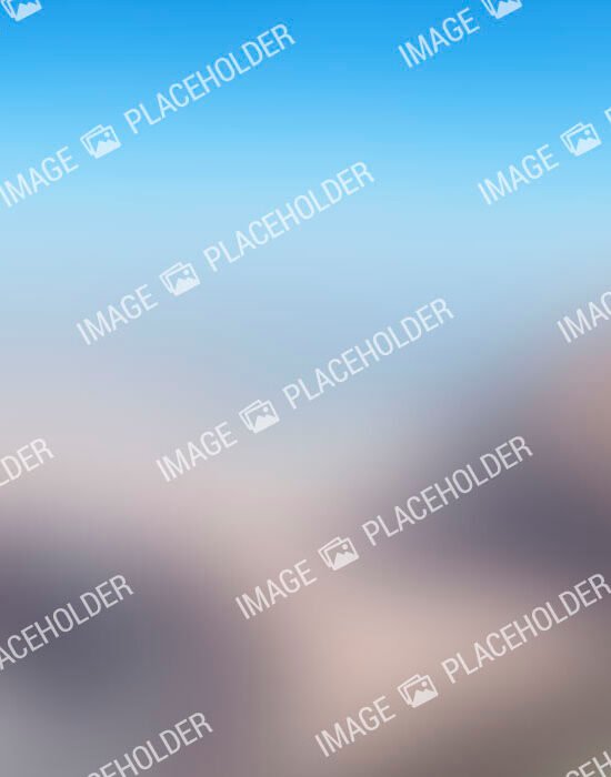 consulting consulting